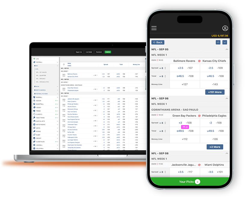 Retail & Omni Channel Solutions
